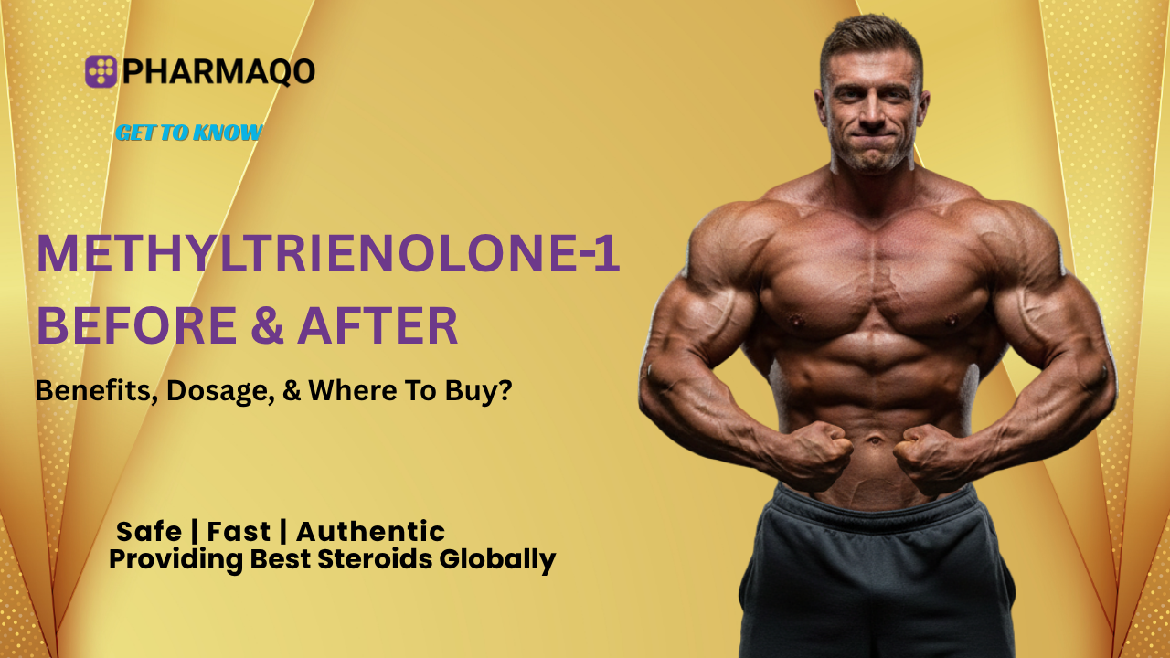 Methyltrienolone 1 Before and After - buy pharmaqolabs methyltrienolone-1​